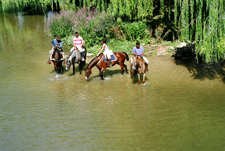 Spain-Central Spain-Vineyard Trail - Ruta del Vino